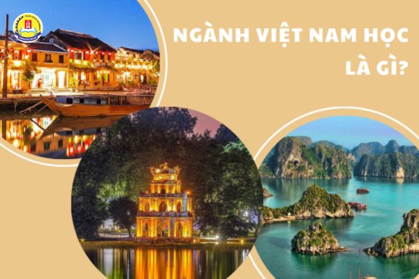 nganh-viet-nam-hoc-la-gi