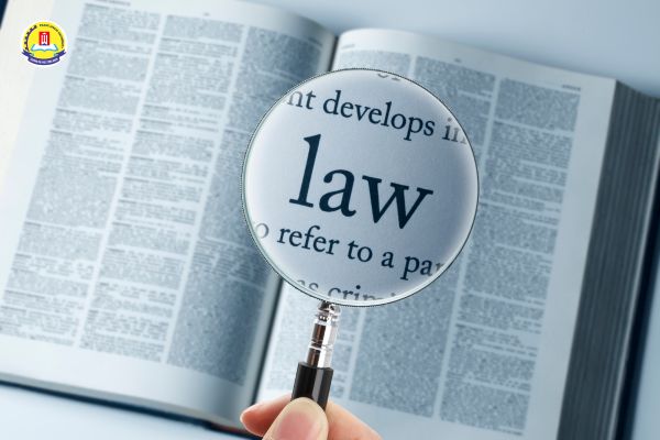 chung-chi-luat-la-gi