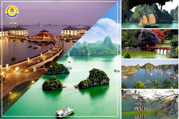 viet-nam-hoc-la-gi-1