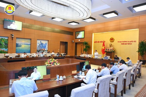 hoc-van-bang-2-luat (3)