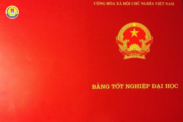 hoc-van-bang-2-luat (5)